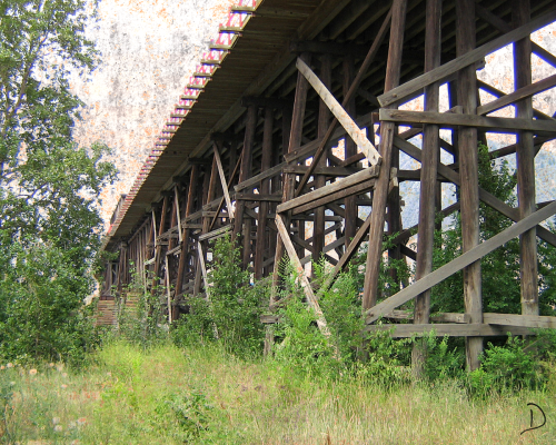 Trestle Bridge 061326 DBC_1200